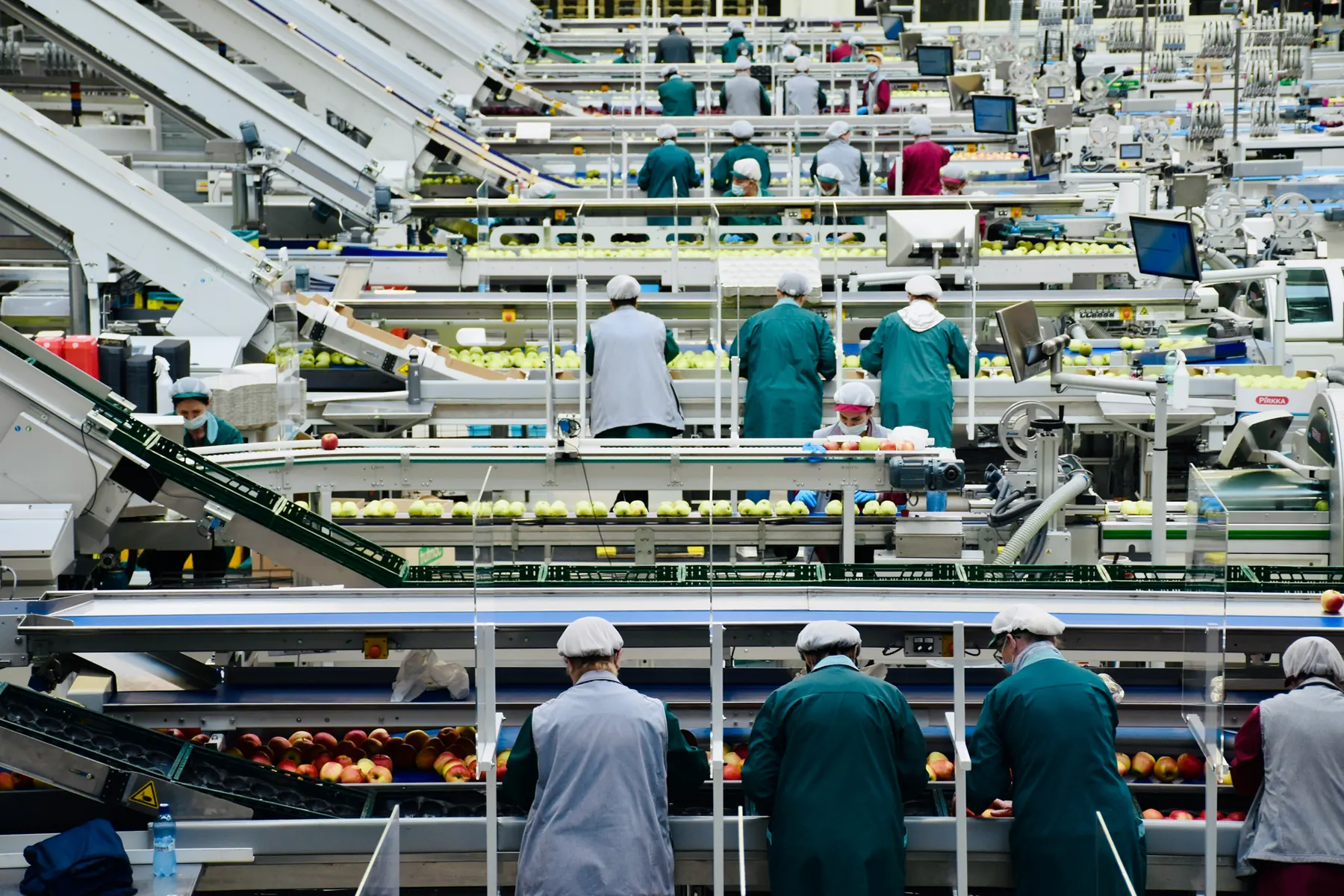Workers monitoring a food production line